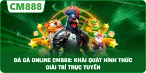 Đá gà online cm888: Khái quát hình thức giải trí trực tuyến