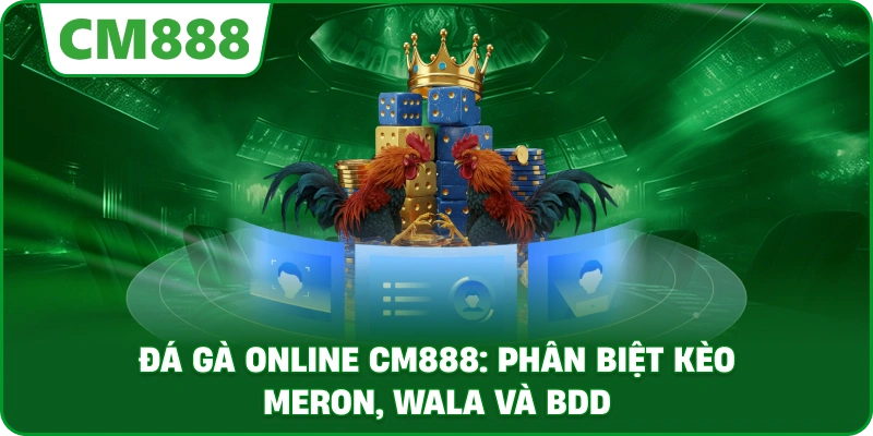 Đá gà online cm888: Phân biệt kèo Meron, Wala và BDD