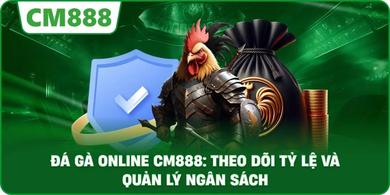 Đá gà online cm888: Theo dõi tỷ lệ và quản lý ngân sách