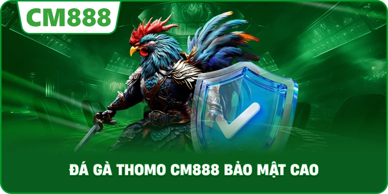 Đá gà Thomo cm888 bảo mật cao