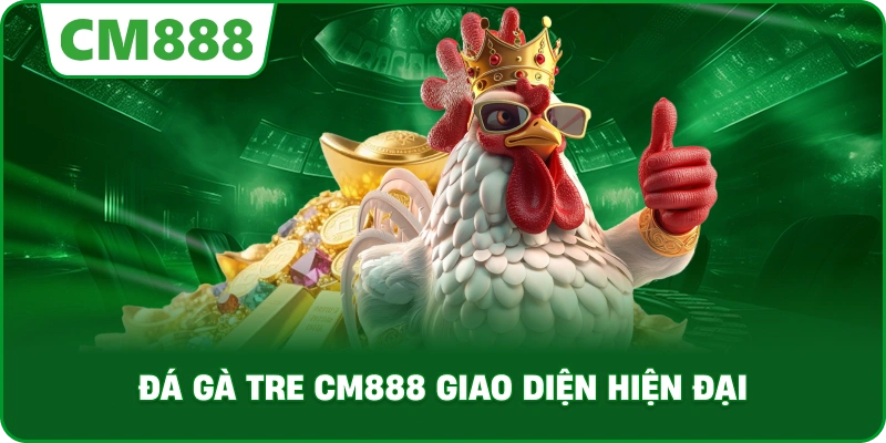 Đá gà tre cm888 giao diện hiện đại