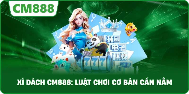 Xì dách cm888: Luật chơi cơ bản cần nắm