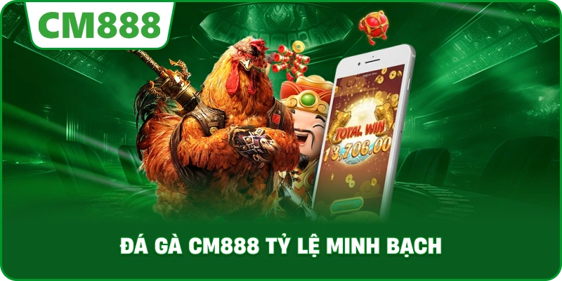 Đá gà cm888 tỷ lệ minh bạch