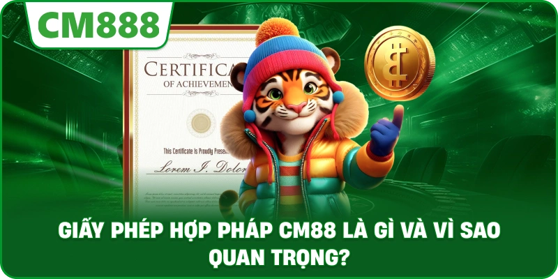 Giấy Phép Hợp Pháp CM88 là gì và vì sao quan trọng?